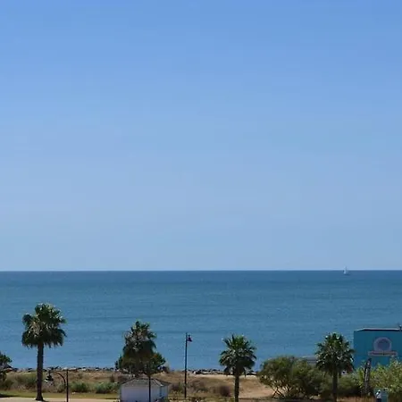 The Paradise
